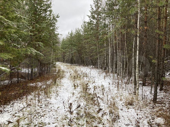 Участок 100 сот. (СНТ, ДНП)