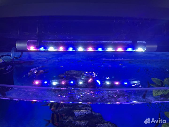 Аквариум с рыбками