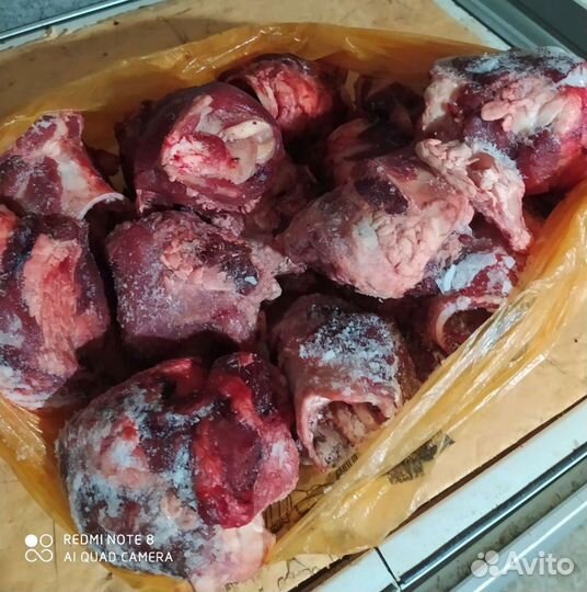 Корм для собак