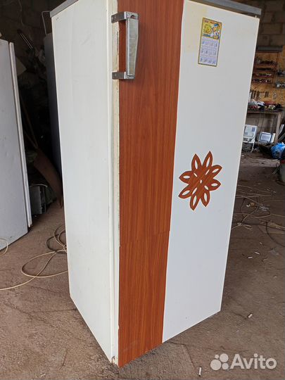 Холодильник полюс 10