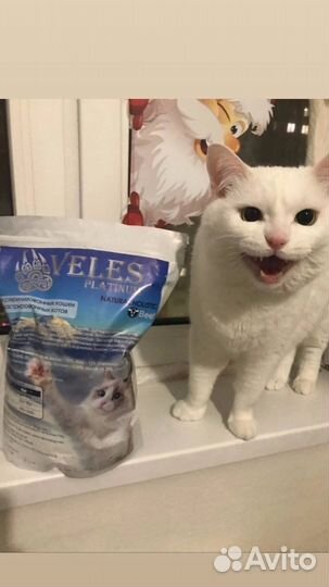 Корм для собак и кошек Veles