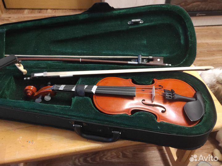 Скрипка 1/2