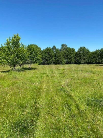 Участок 15 сот. (ИЖС)