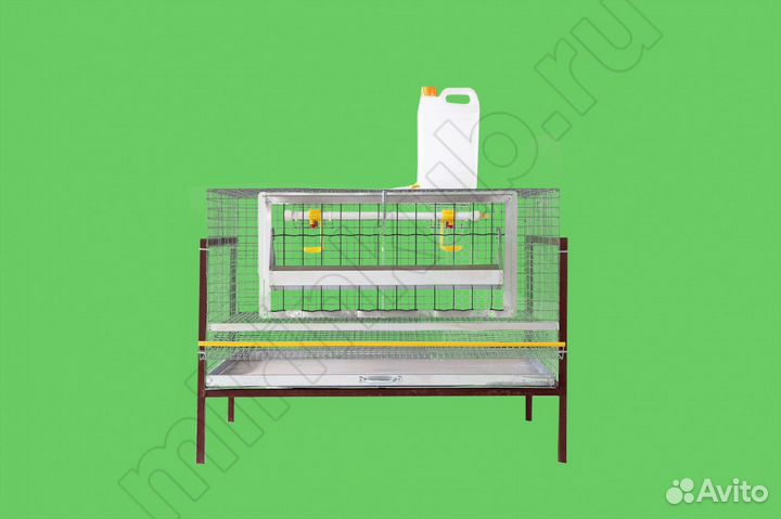Клетка для перепелов
