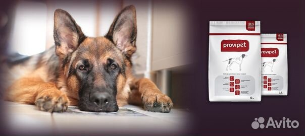 Корм для собак purina