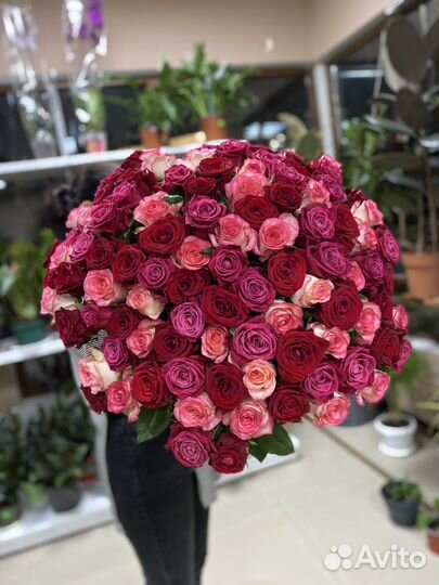 Роза 60 см