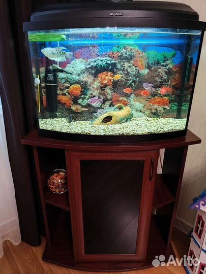 Аквариум с тумбой