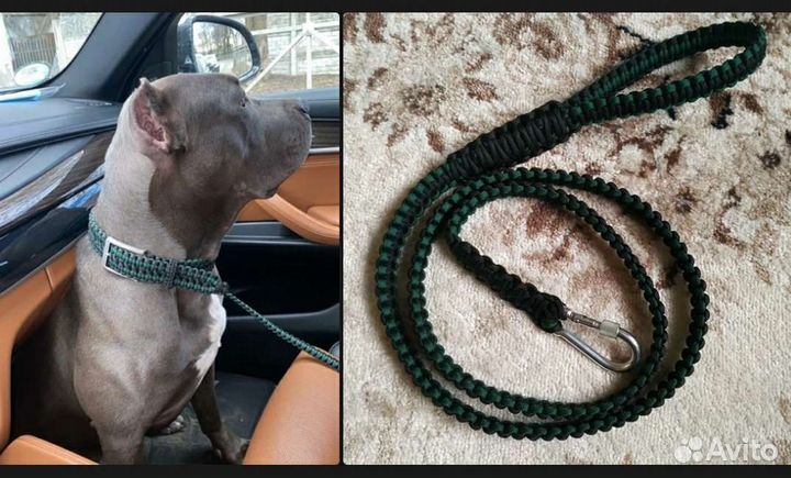 Ошейники для собак