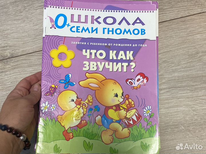 Школа семи гномов 0