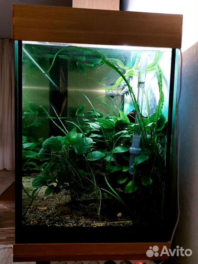 Аквариум с тумбой 180л