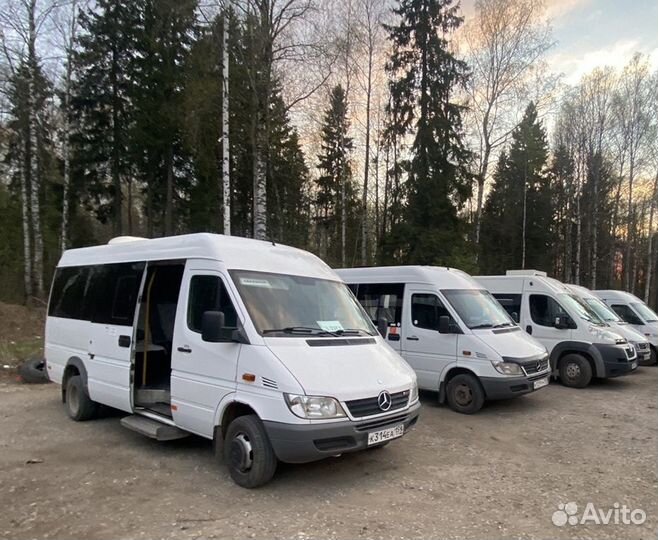 Требуется водитель на микроавтобус MB Sprinter