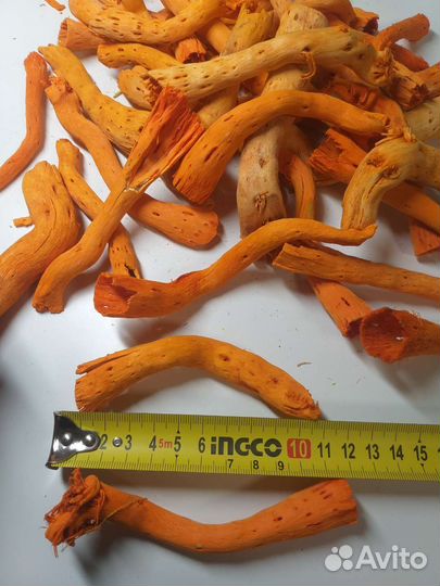 Сушеные ветки для декора