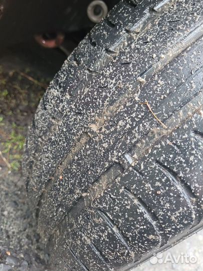 Nokian Tyres Nordman SX 205/55 R16