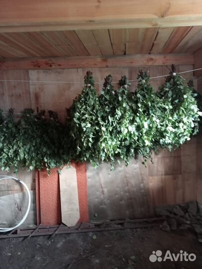 Березовые веники