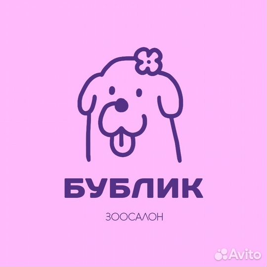 Грумер стрижка собак зоосалон