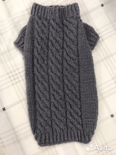 Одежда для собак