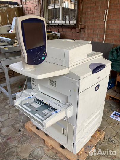 Принтер Xerox DocuColor 242