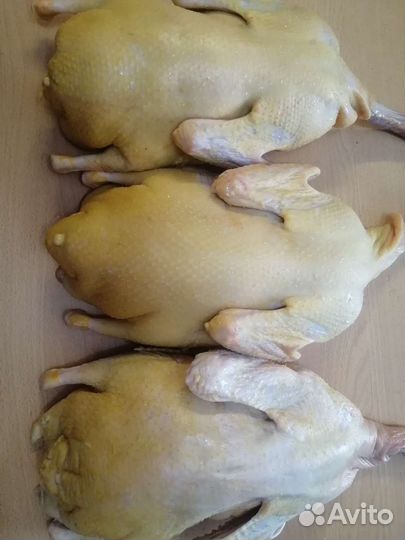 Мясо утки мулард