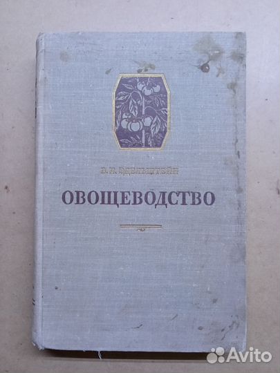 Овощеводство Эдельштейн