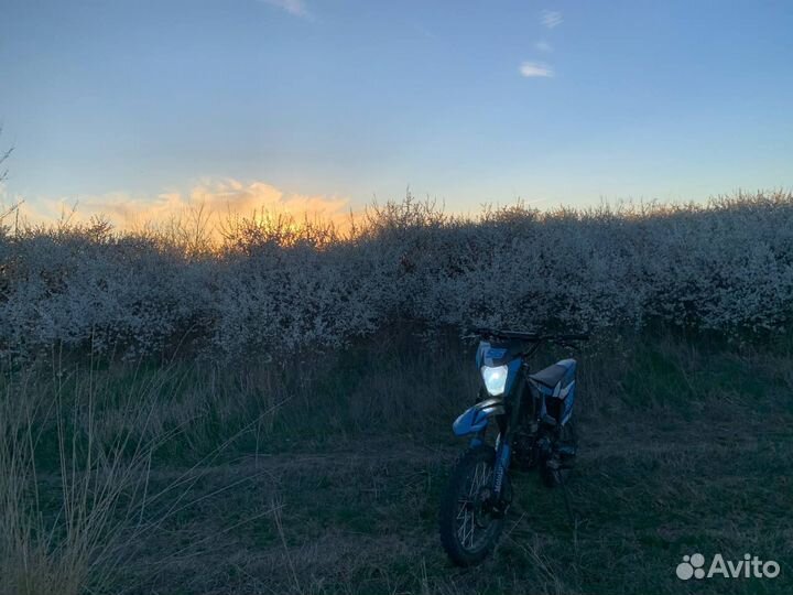 Питбайк 150 кубов
