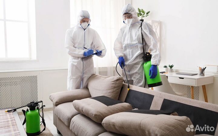 Дезинсекция от клопов от насекомых