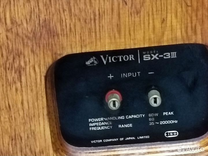 Шикарные, крупные полочники victor