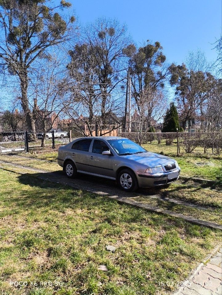 Skoda Octavia: фото владельца