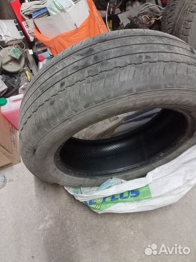 Dunlop All Season Maxx AS1 245/55 R19