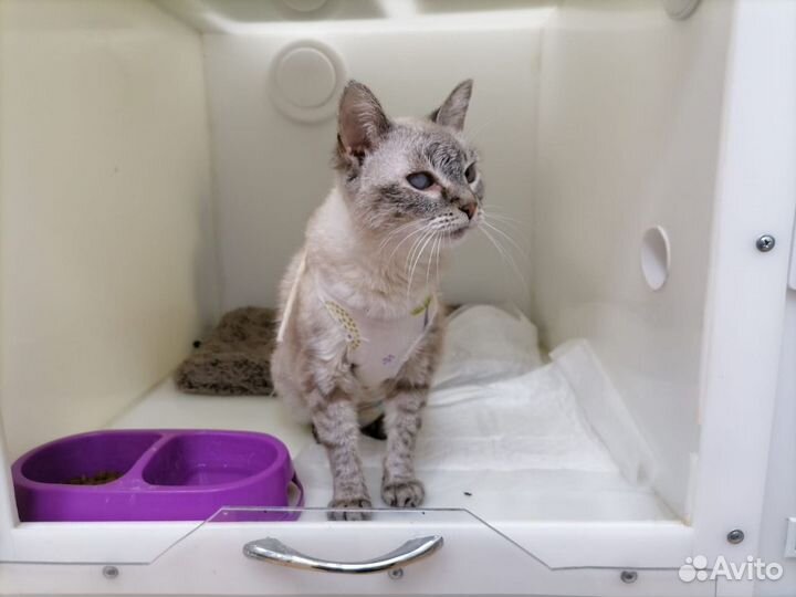 Варя из приюта ищет семью