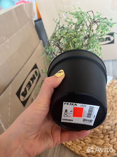 Фейка Искусственное растение, Мюленбекия, икеа