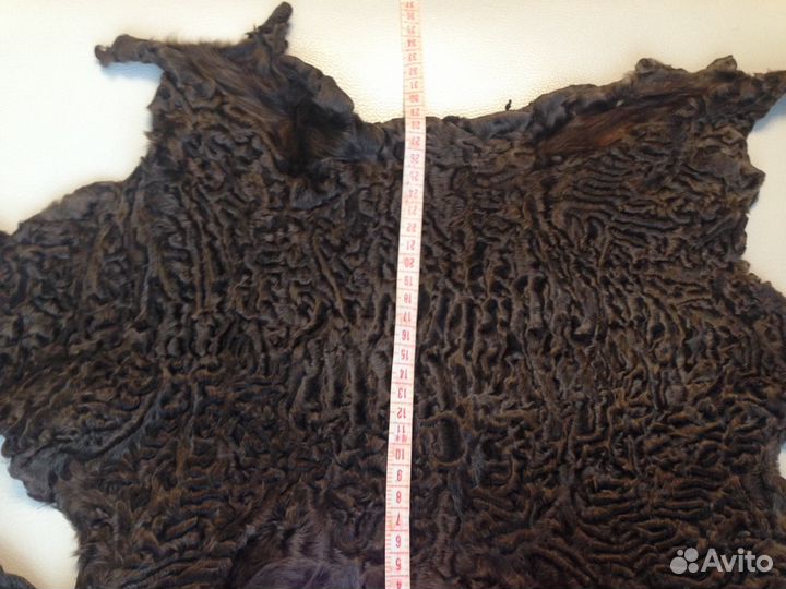 Каракуль-каракульча сур