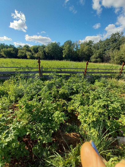 Дом 43 м² на участке 6 сот.