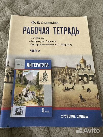 Рабочие тетради по литературе 5 класс