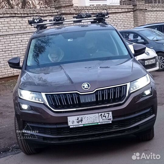 Прокат багажников на крышу Thule