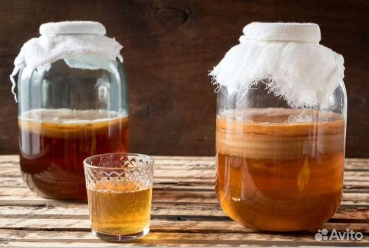 Чайныйгриб