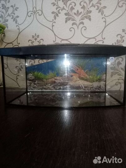 Аквариум