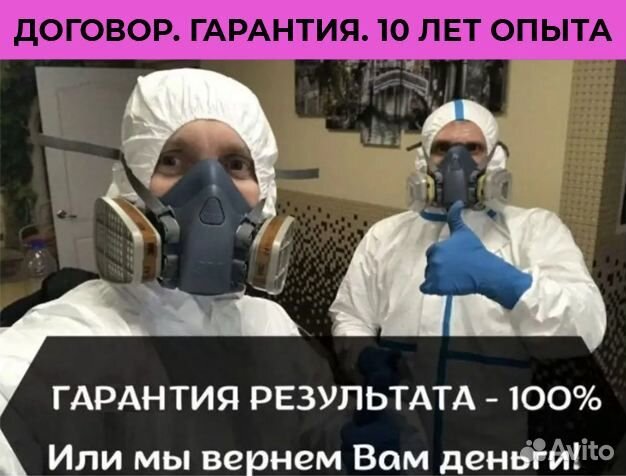 Дезинфекция Уничтожение Насекомых Грызунов Крыс