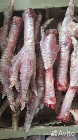 Лапы индейки, утки