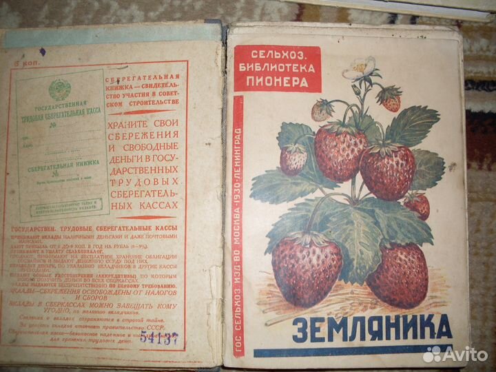 Сх библиотечка пионера