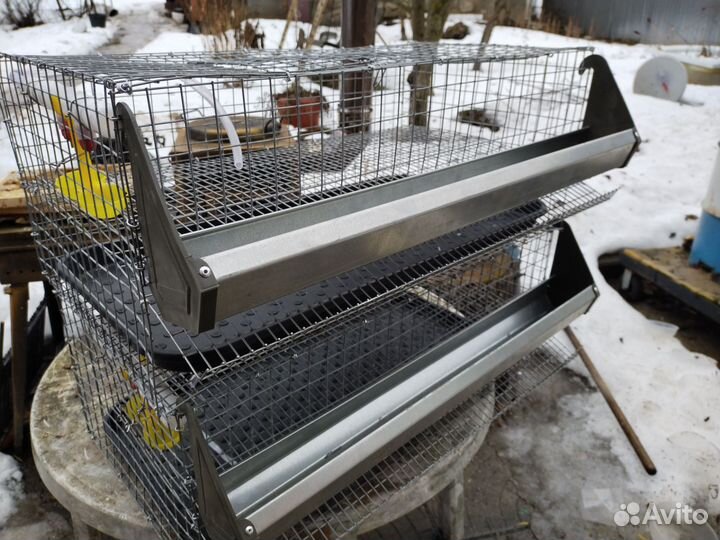 Клетки длЯ перепелов