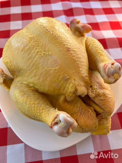 Домашний бройлер