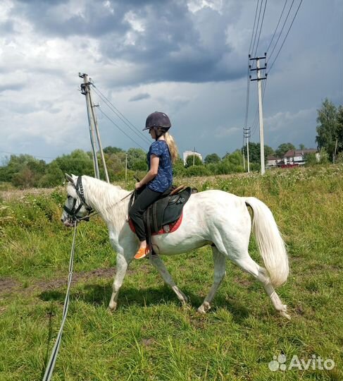 Обучение верховой езде, выезд на праздник