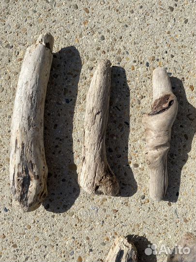 Коряги дрифтвуд