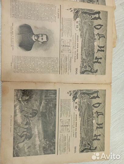 Журнал Родина, 1900 г