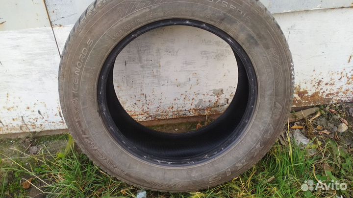 Maxxis Premitra Ice Nord NP5 195/65 R15