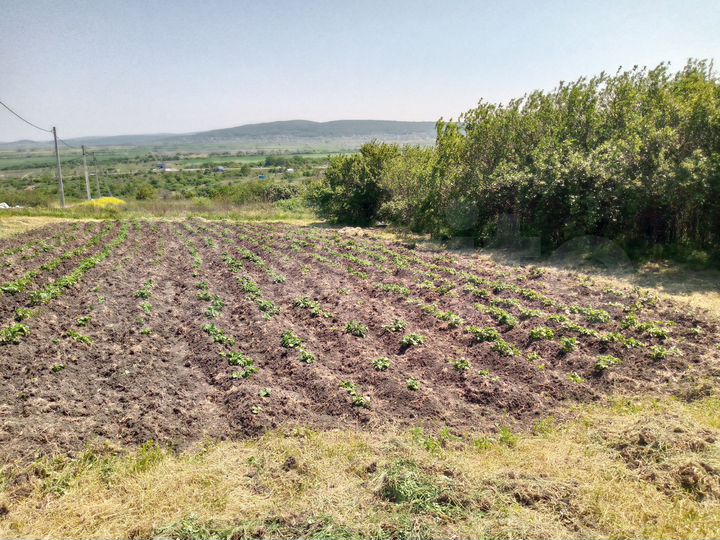 Участок 8 сот. (СНТ, ДНП)