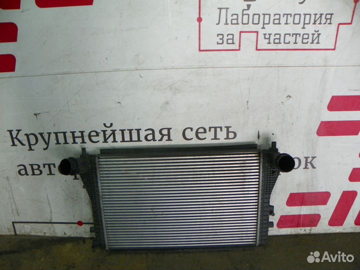 Интеркулер Skoda Octavia