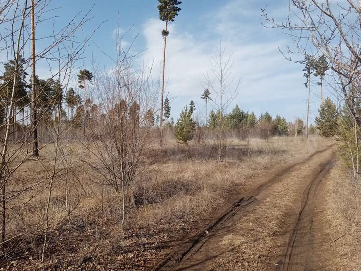 Участок 10 сот. (ИЖС)