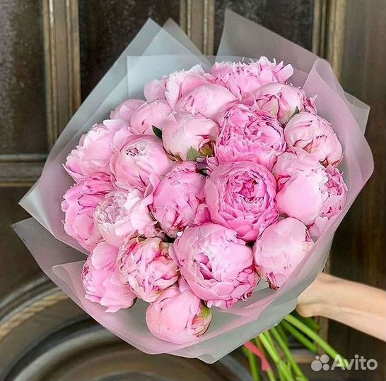 Пионы Букет пионов
