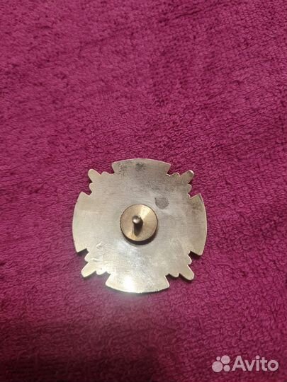 Знак транспортное мвд, сочи 2018